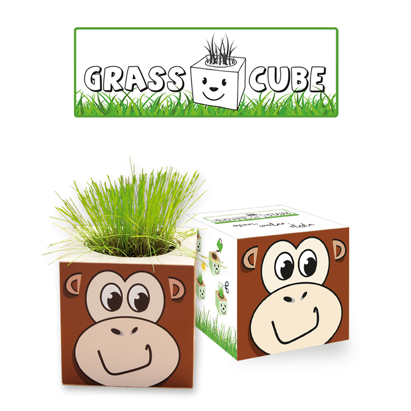 Image of Grass Cube